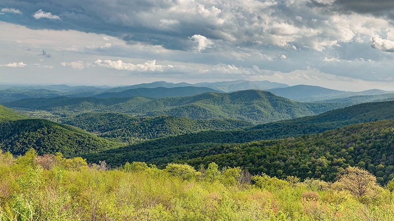 Overlook in Winchester